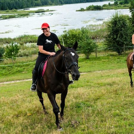 Stajnia Grazyny Mikorowo 46 Villa Czarna Dabrowka Eksteriør billede